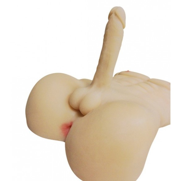 Torso Masculino