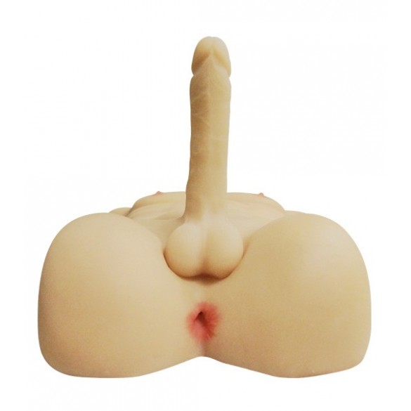 Torso Masculino